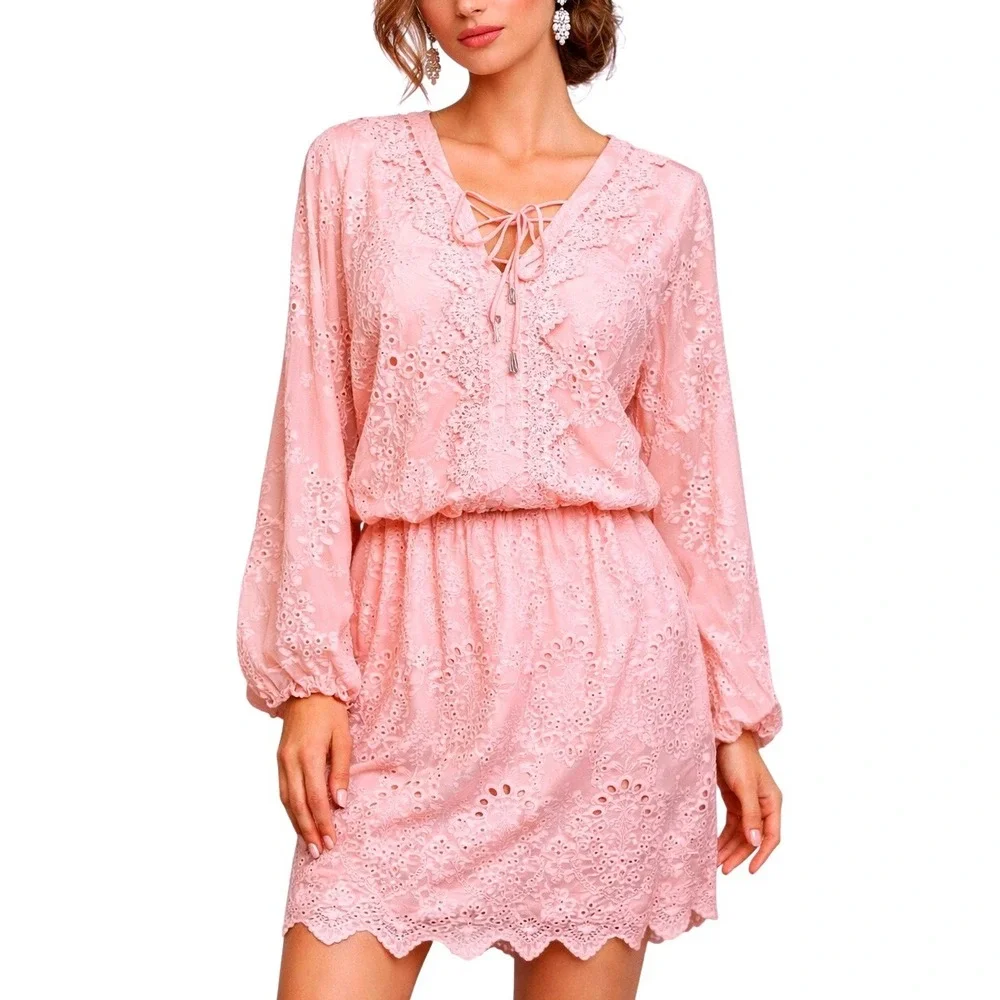 White House Black Market  Pink Eyelet Lace Dress V Neck Smocked Waist Mini Small - Picture 1 of 12